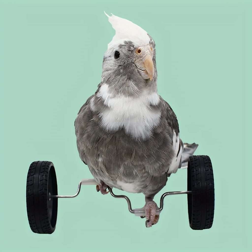 Creative Parrot Balance Toy Interactive Birds Toy Mini Intelligence Training Toy Pet Toy for Small Medium Birds Pet Supplies
