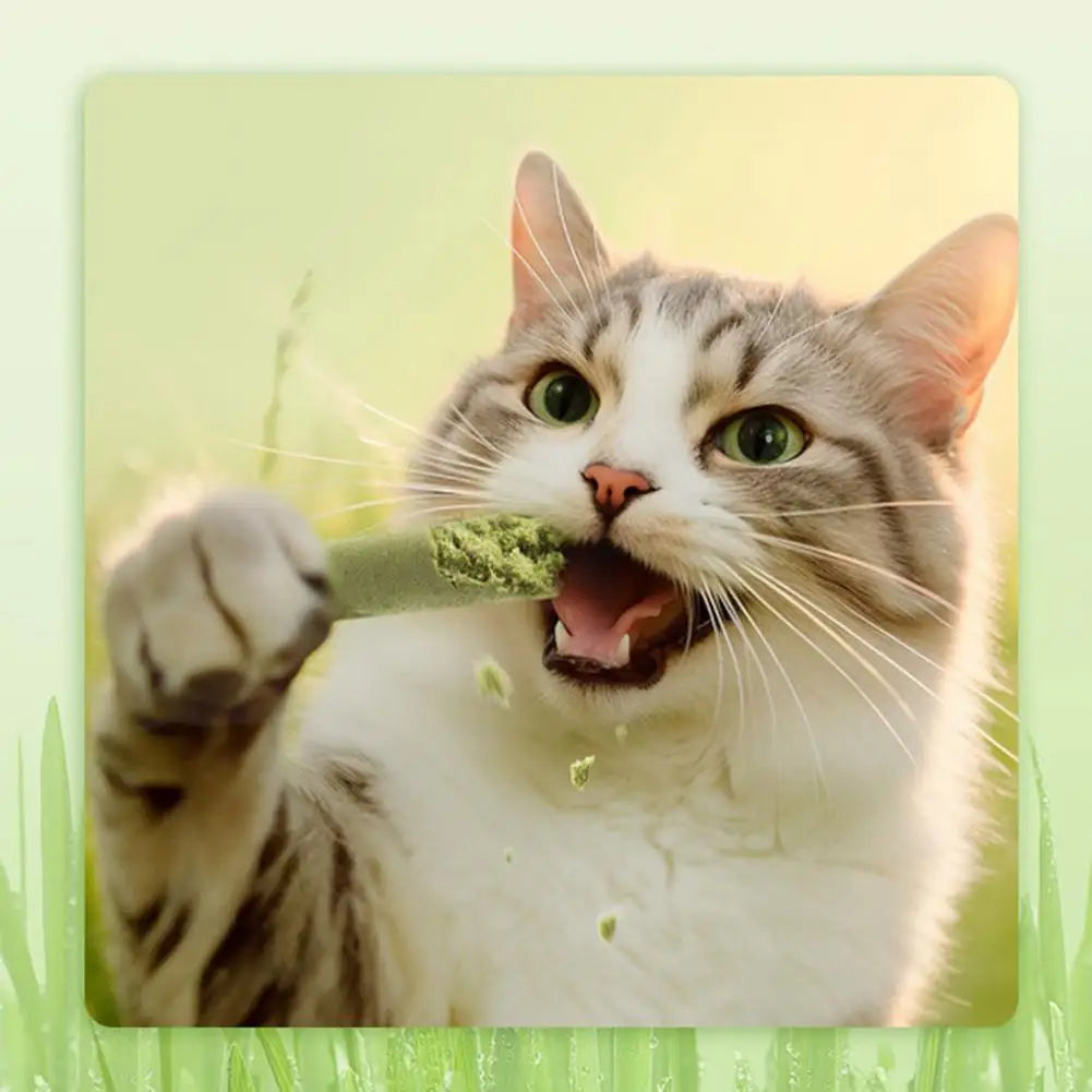 Cat Grass Scented Stick Pet Snacks Mild Cat Tooth Cleaning Cat Grass Stick Pet Supplies Catgrass Tablets Grinding Teeth