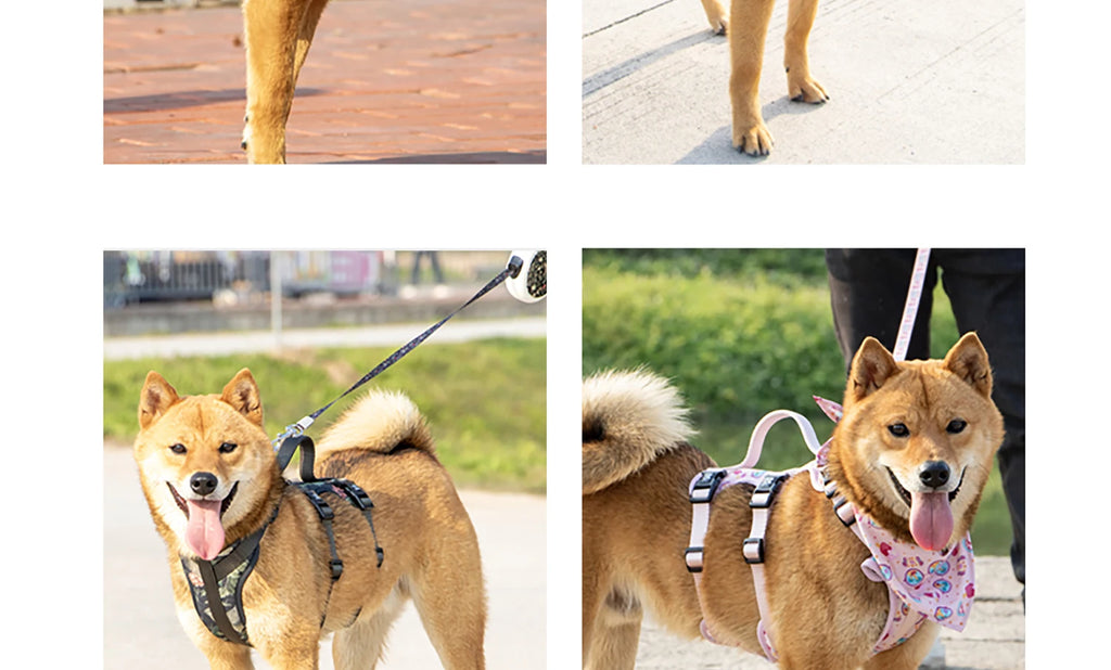 Pet Dog Harness Adjustable Chest Harness For Small  Medium Large Dogs Teddy Chihuahua Pet Supplies （S has no handle））