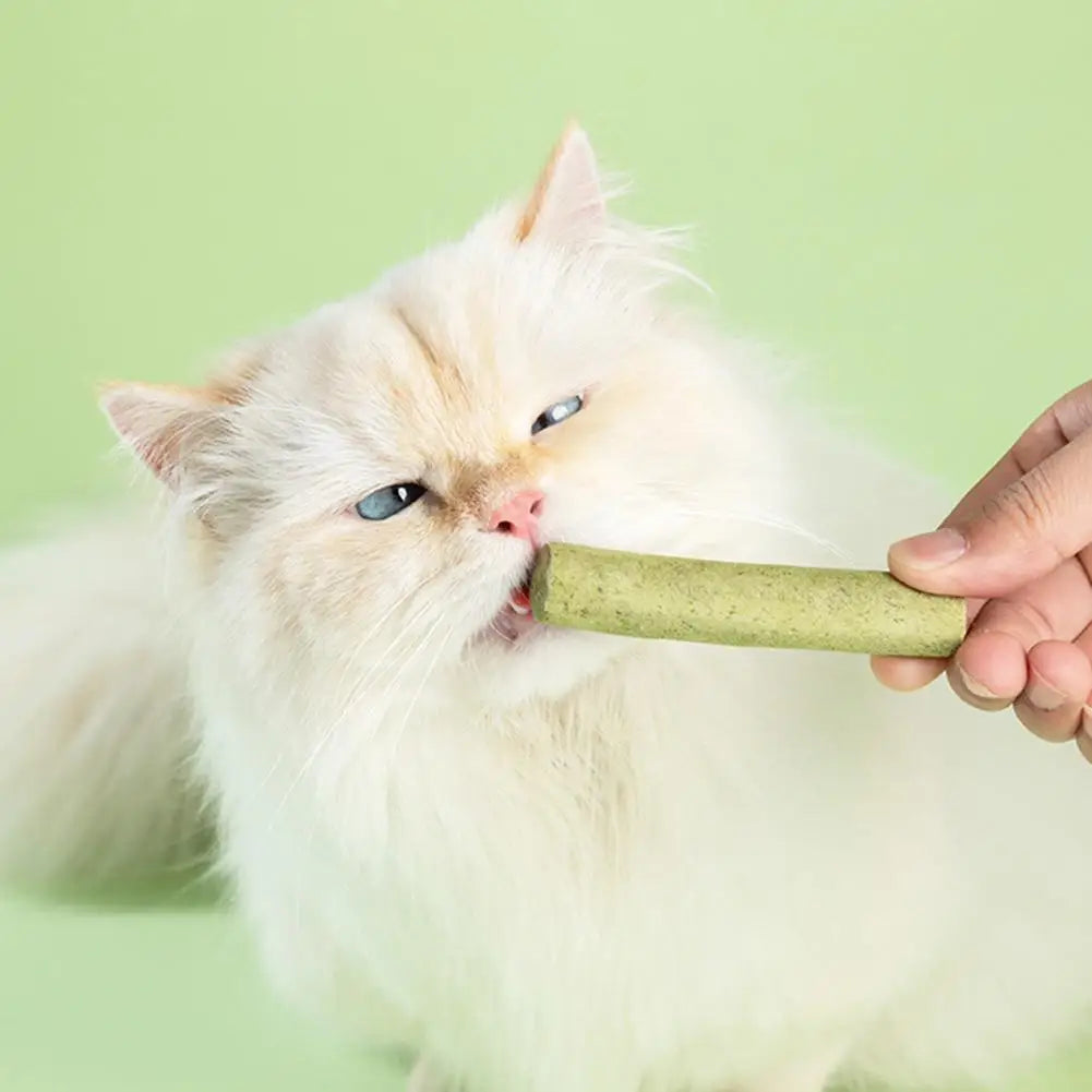 Cat Grass Scented Stick Pet Snacks Mild Cat Tooth Cleaning Cat Grass Stick Pet Supplies Catgrass Tablets Grinding Teeth