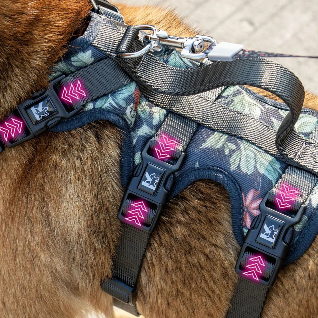 Pet Dog Harness Adjustable Chest Harness For Small  Medium Large Dogs Teddy Chihuahua Pet Supplies （S has no handle））