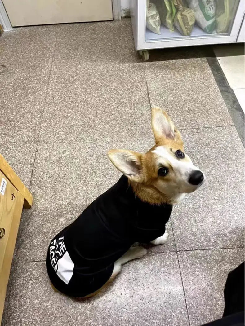 Pet Hoodies Clothes Winter Warm Dog Hoodie Large Dog Clothing Dog Fans Fashion For Chihuahua French Bulldog Costume