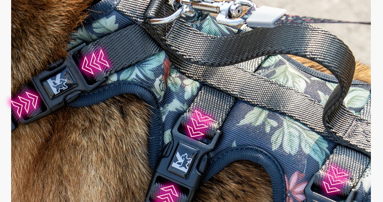 Pet Dog Harness Adjustable Chest Harness For Small  Medium Large Dogs Teddy Chihuahua Pet Supplies （S has no handle））