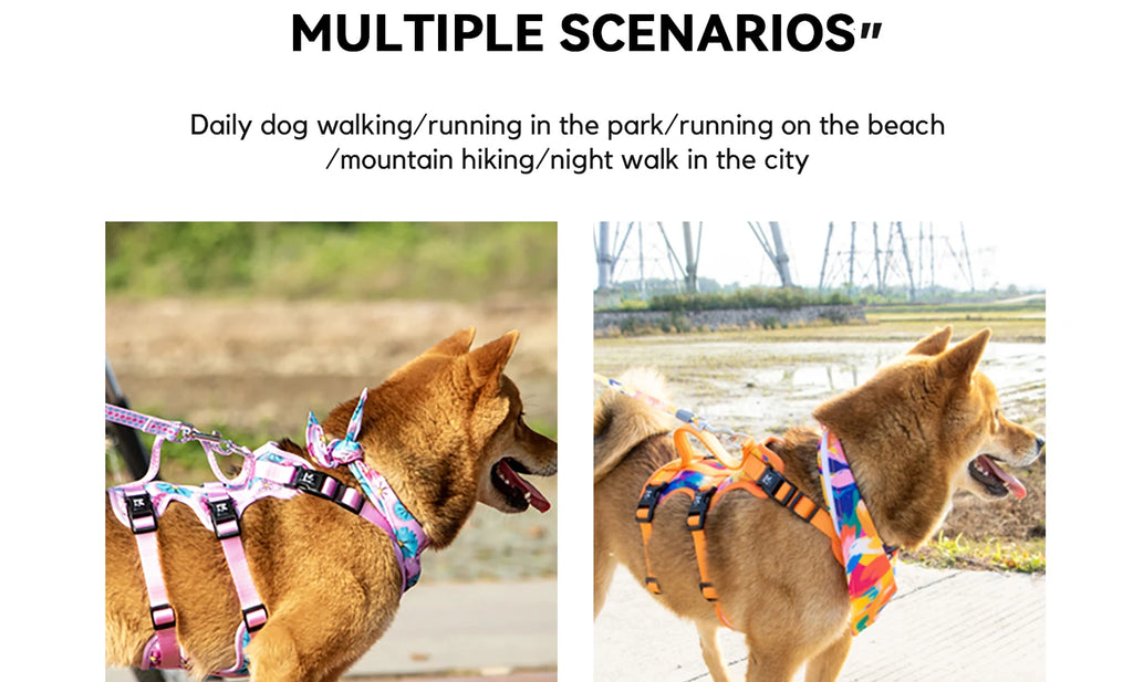 Pet Dog Harness Adjustable Chest Harness For Small  Medium Large Dogs Teddy Chihuahua Pet Supplies （S has no handle））
