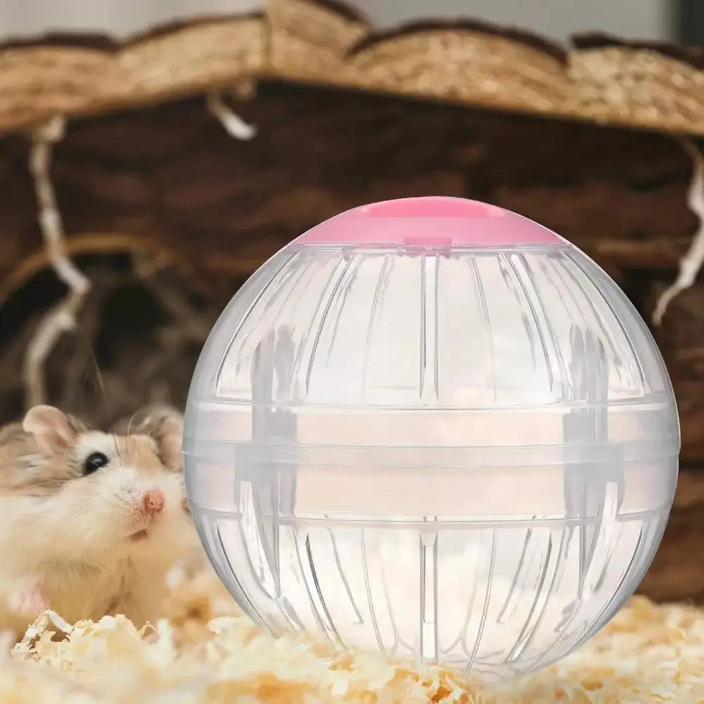 Plastic Outdoor Sport Ball Grounder Rat Small Pet Mice Jogging Ball Toy Hamster Gerbil Exercise Ball Play Toy Small Pet Supplies