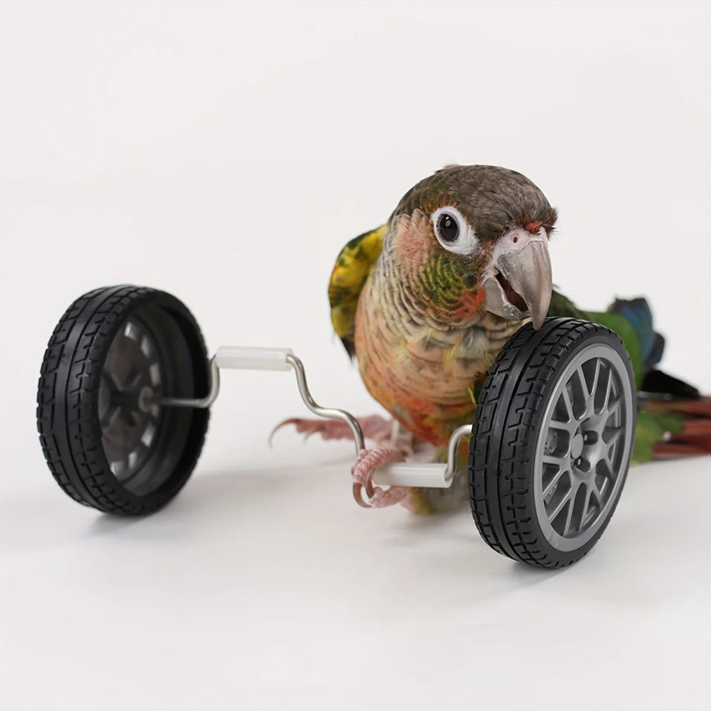 Creative Parrot Balance Toy Interactive Birds Toy Mini Intelligence Training Toy Pet Toy for Small Medium Birds Pet Supplies
