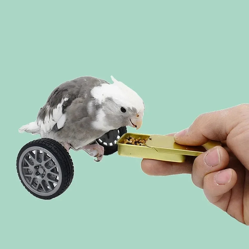 Creative Parrot Balance Toy Interactive Birds Toy Mini Intelligence Training Toy Pet Toy for Small Medium Birds Pet Supplies