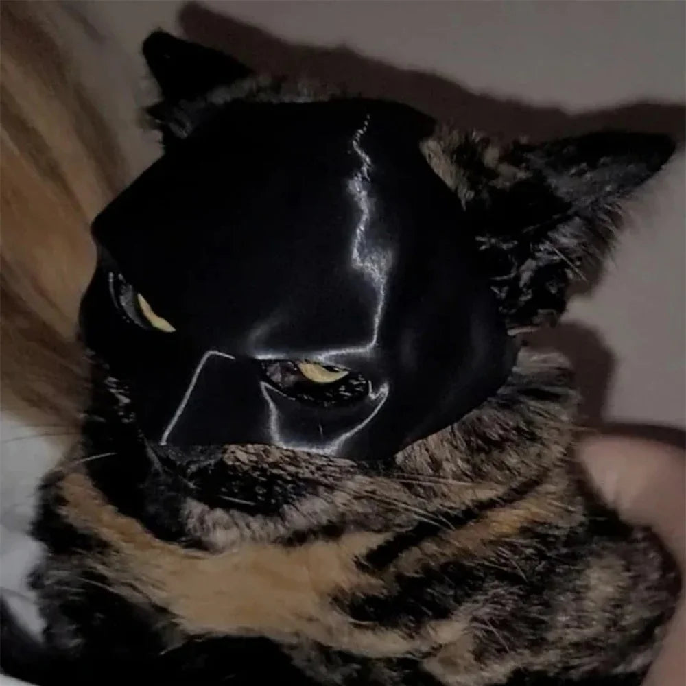 Halloween Black Bat Cat Mask Cute Matte Bat Mask Cool Pet Toys For Cat Funny Pet Cosplay Masks Pet Supplies Photos Props