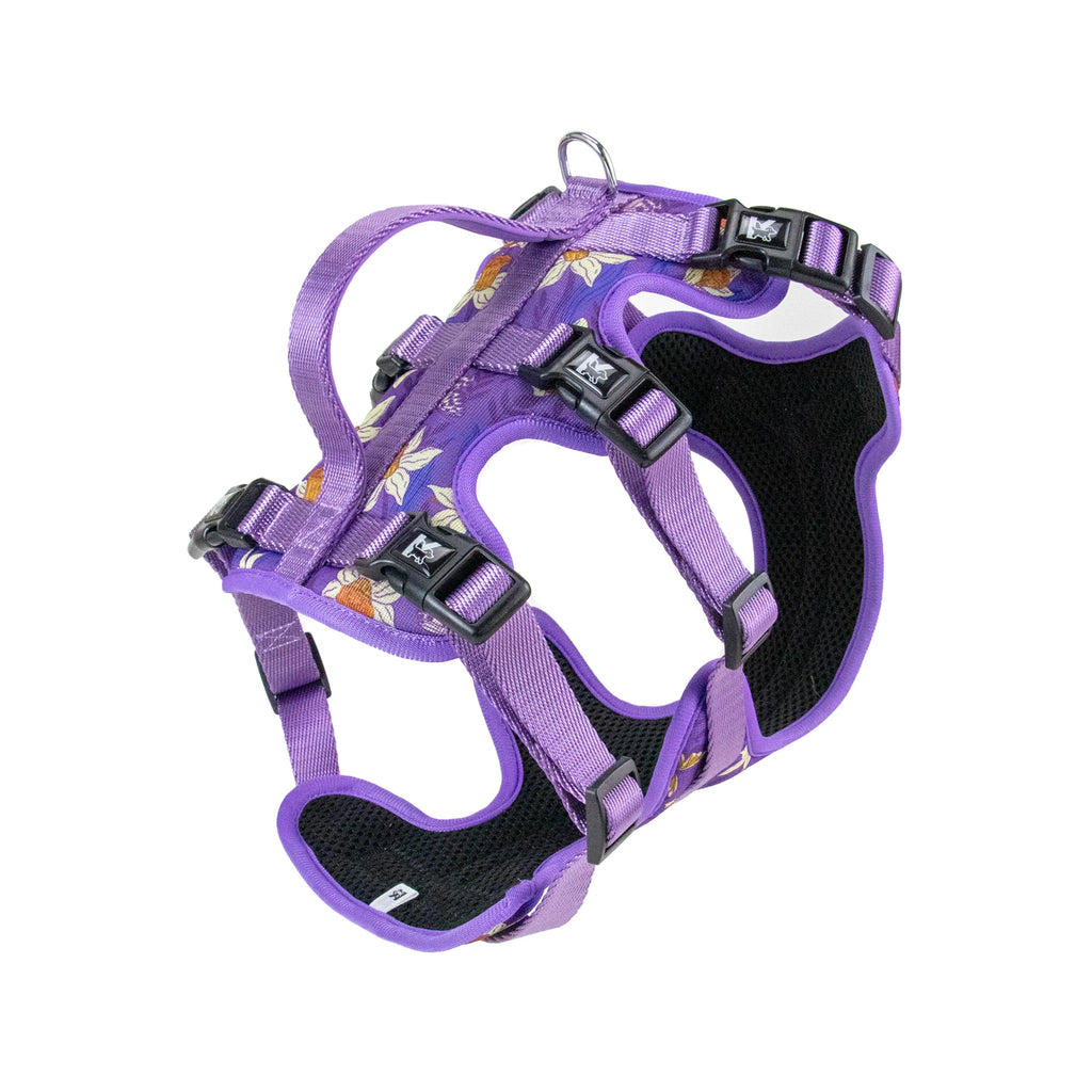 Pet Dog Harness Adjustable Chest Harness For Small  Medium Large Dogs Teddy Chihuahua Pet Supplies （S has no handle））
