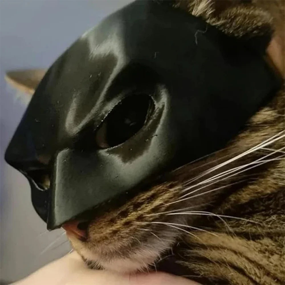 Halloween Black Bat Cat Mask Cute Matte Bat Mask Cool Pet Toys For Cat Funny Pet Cosplay Masks Pet Supplies Photos Props