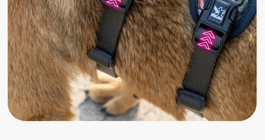 Pet Dog Harness Adjustable Chest Harness For Small  Medium Large Dogs Teddy Chihuahua Pet Supplies （S has no handle））