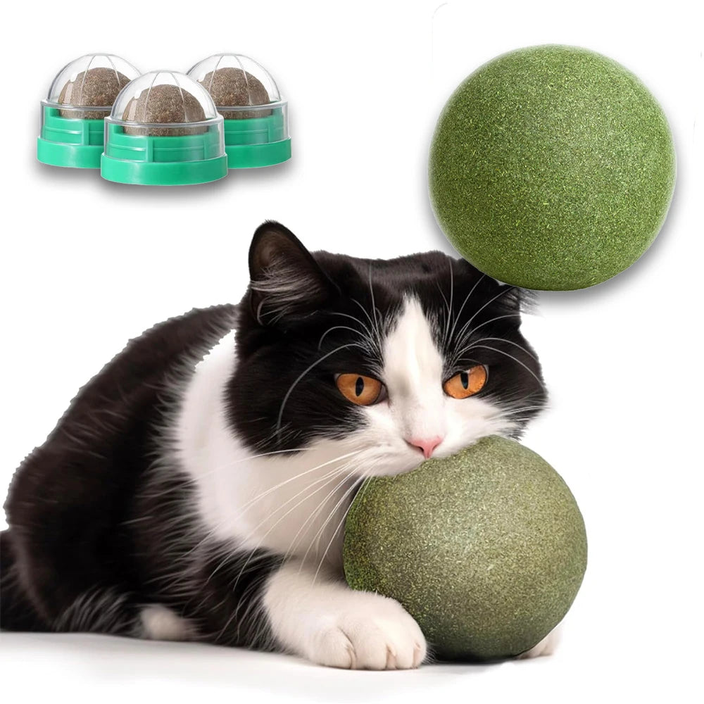 Catnip Balls Funny Lickable Cat Snack Catnip Balls Kitten Playing Chewing Cleaning Teeth Toy For Small Medium Cats pet supplies