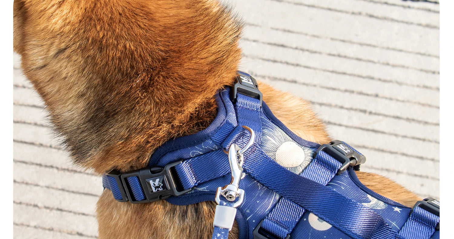 Pet Dog Harness Adjustable Chest Harness For Small  Medium Large Dogs Teddy Chihuahua Pet Supplies （S has no handle））