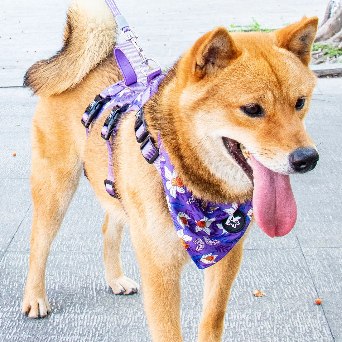 Pet Dog Harness Adjustable Chest Harness For Small  Medium Large Dogs Teddy Chihuahua Pet Supplies （S has no handle））
