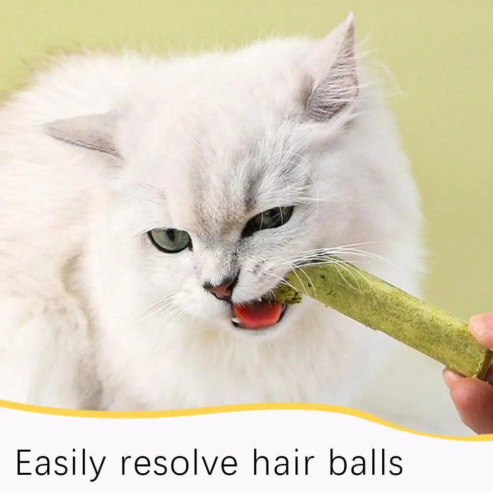 Cat Grass Scented Stick Pet Snacks Mild Cat Tooth Cleaning Cat Grass Stick Pet Supplies Catgrass Tablets Grinding Teeth