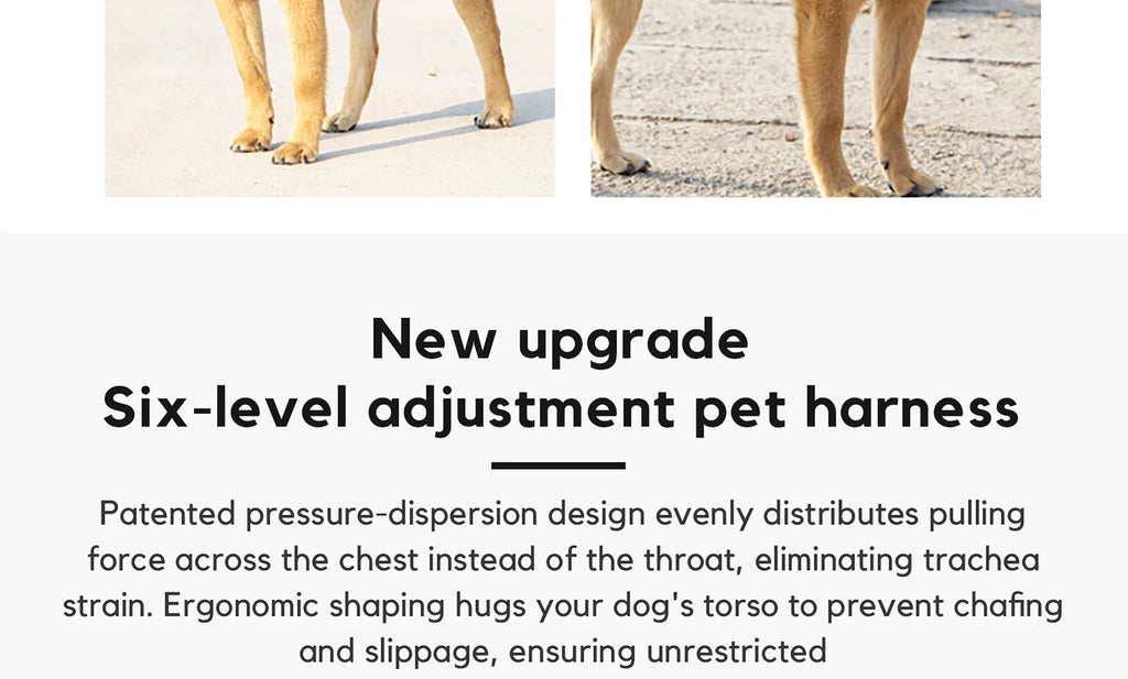Pet Dog Harness Adjustable Chest Harness For Small  Medium Large Dogs Teddy Chihuahua Pet Supplies （S has no handle））