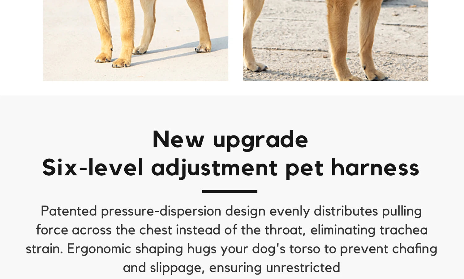 Pet Dog Harness Adjustable Chest Harness For Small  Medium Large Dogs Teddy Chihuahua Pet Supplies （S has no handle））