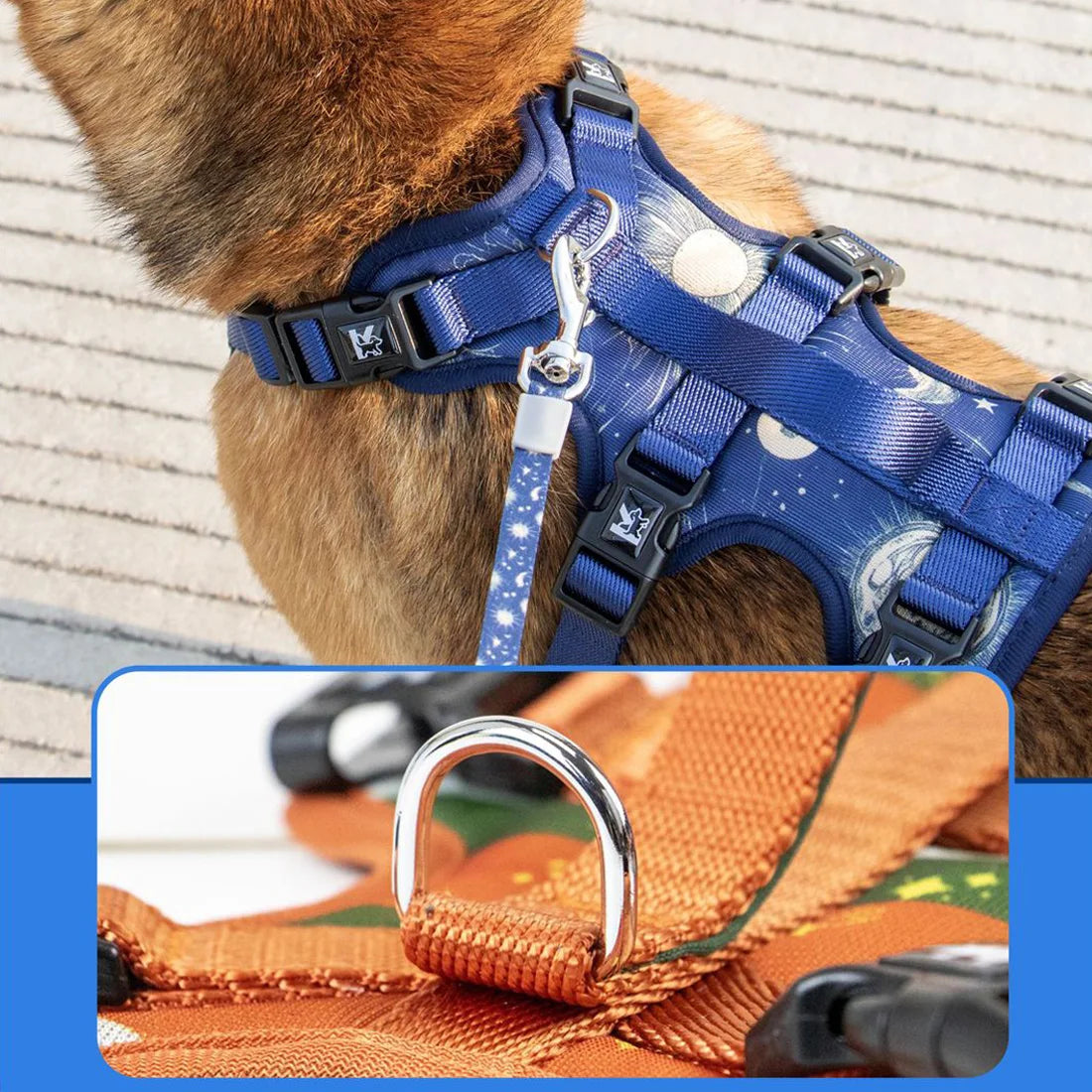 Pet Dog Harness Adjustable Chest Harness For Small  Medium Large Dogs Teddy Chihuahua Pet Supplies （S has no handle））